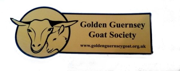 Golden Guernsey Goat Society Car sticker